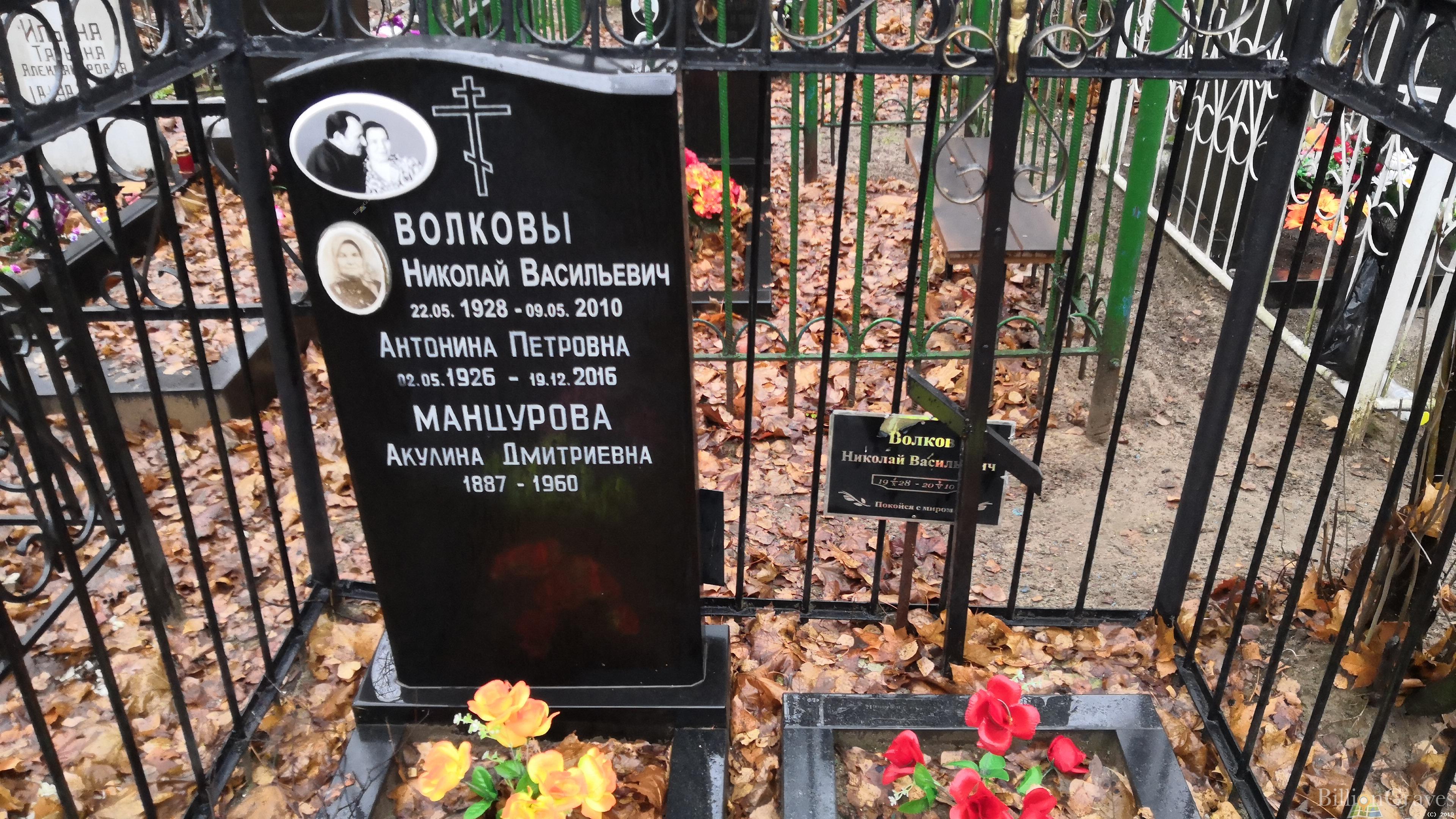 Волков Николай Васильевич