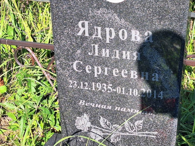 Ядрова