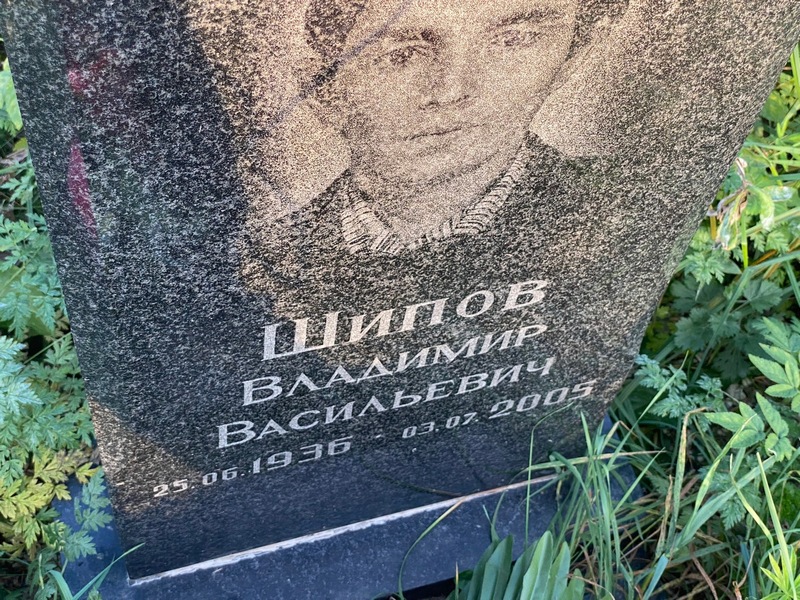Шипов