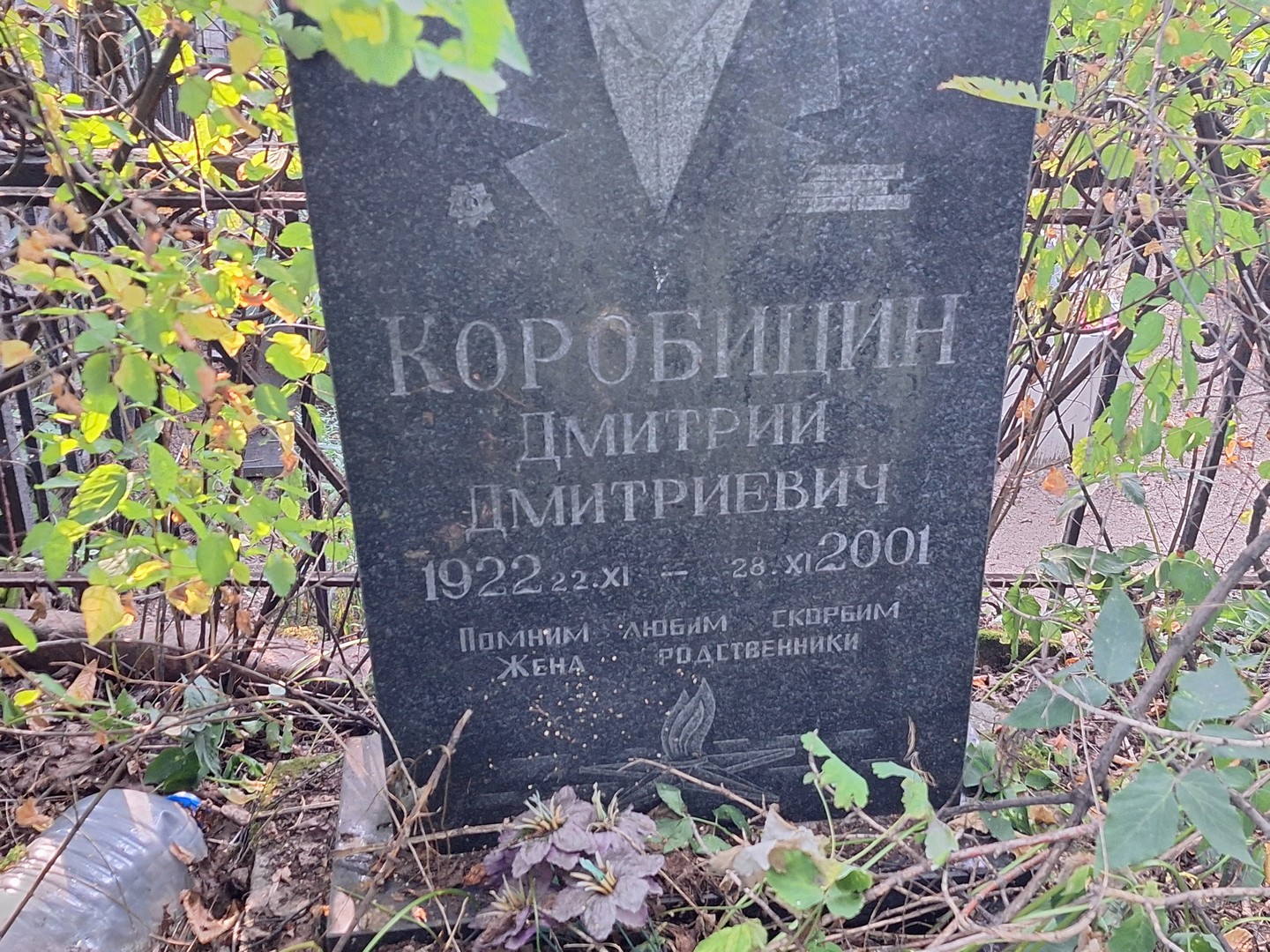 Коробицын
