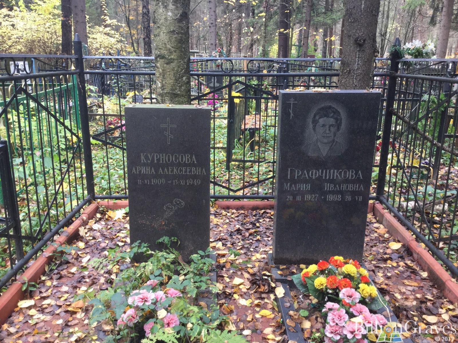 Курносова Арина Алексеевна
