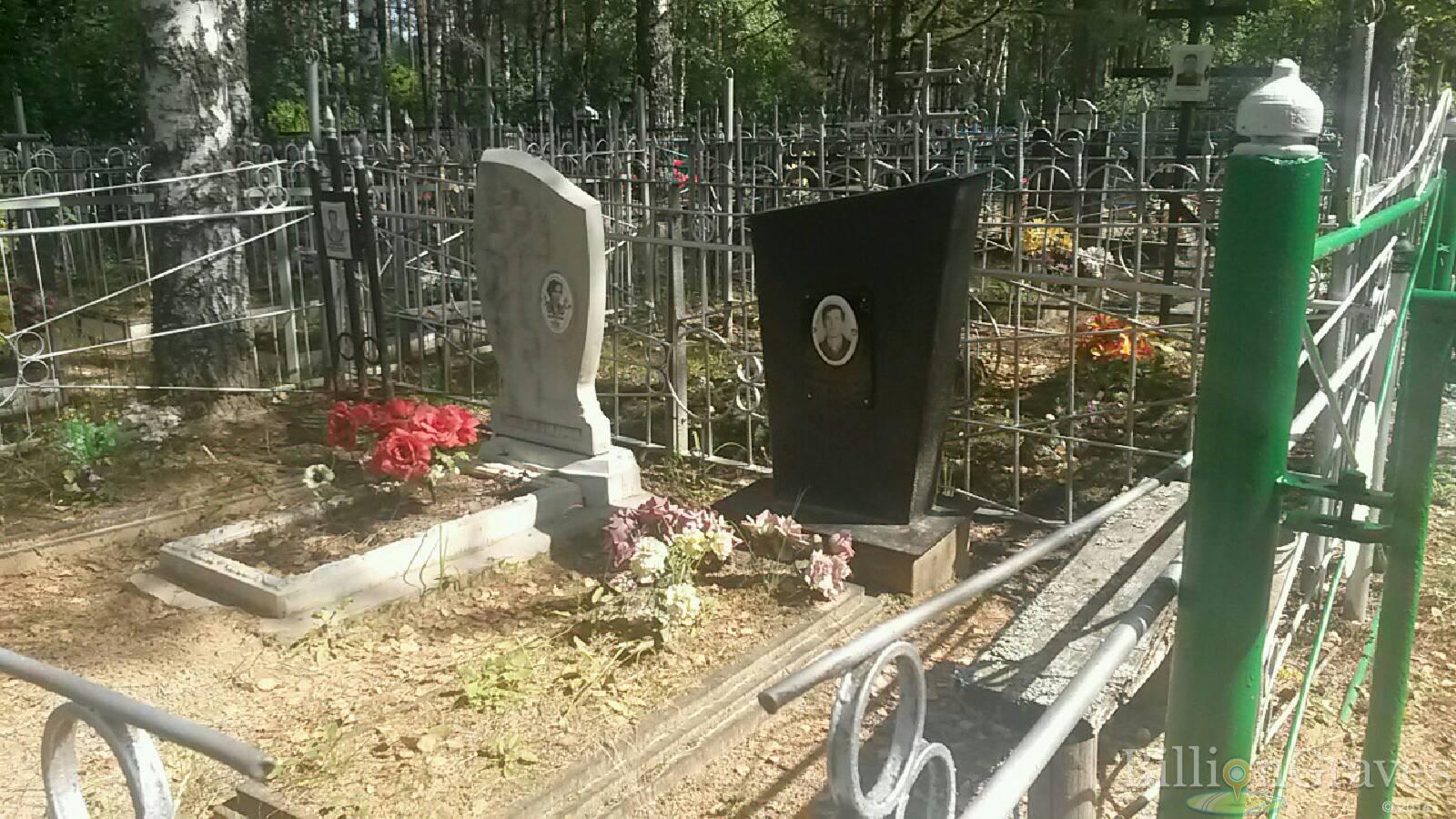Андронова Анна Алексеевна