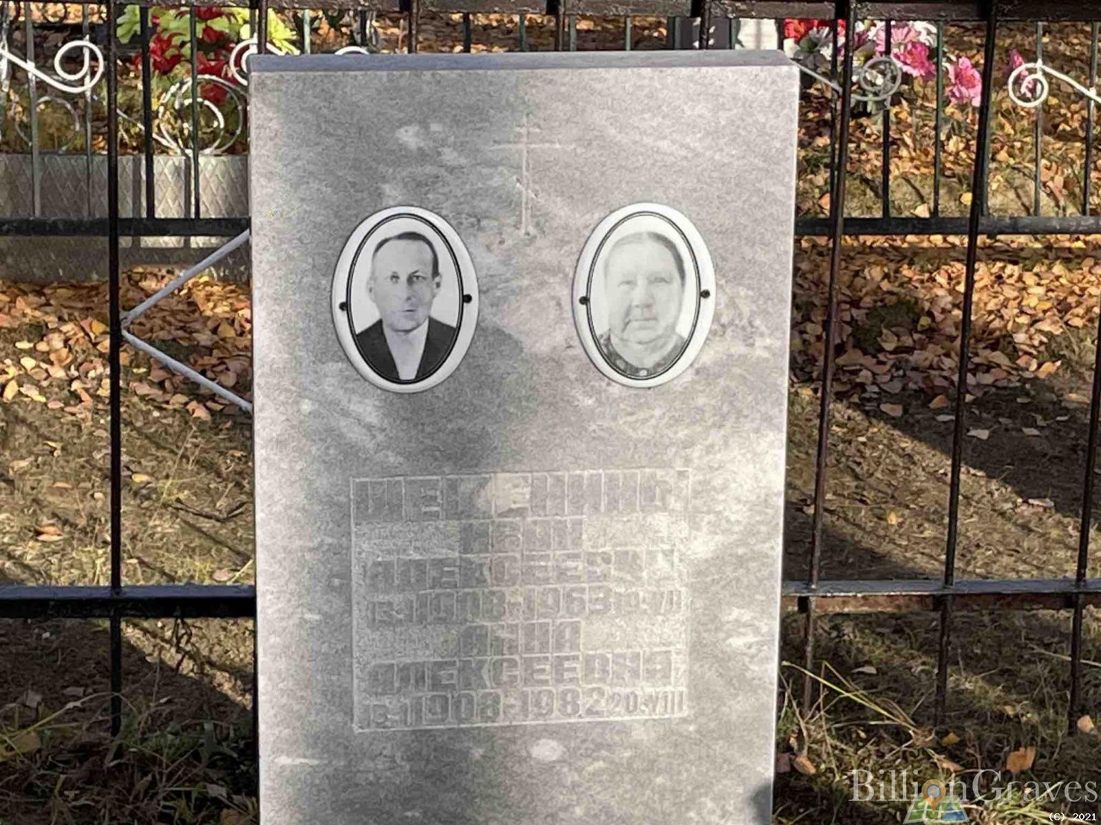 Шешенина Анна Алексеевна