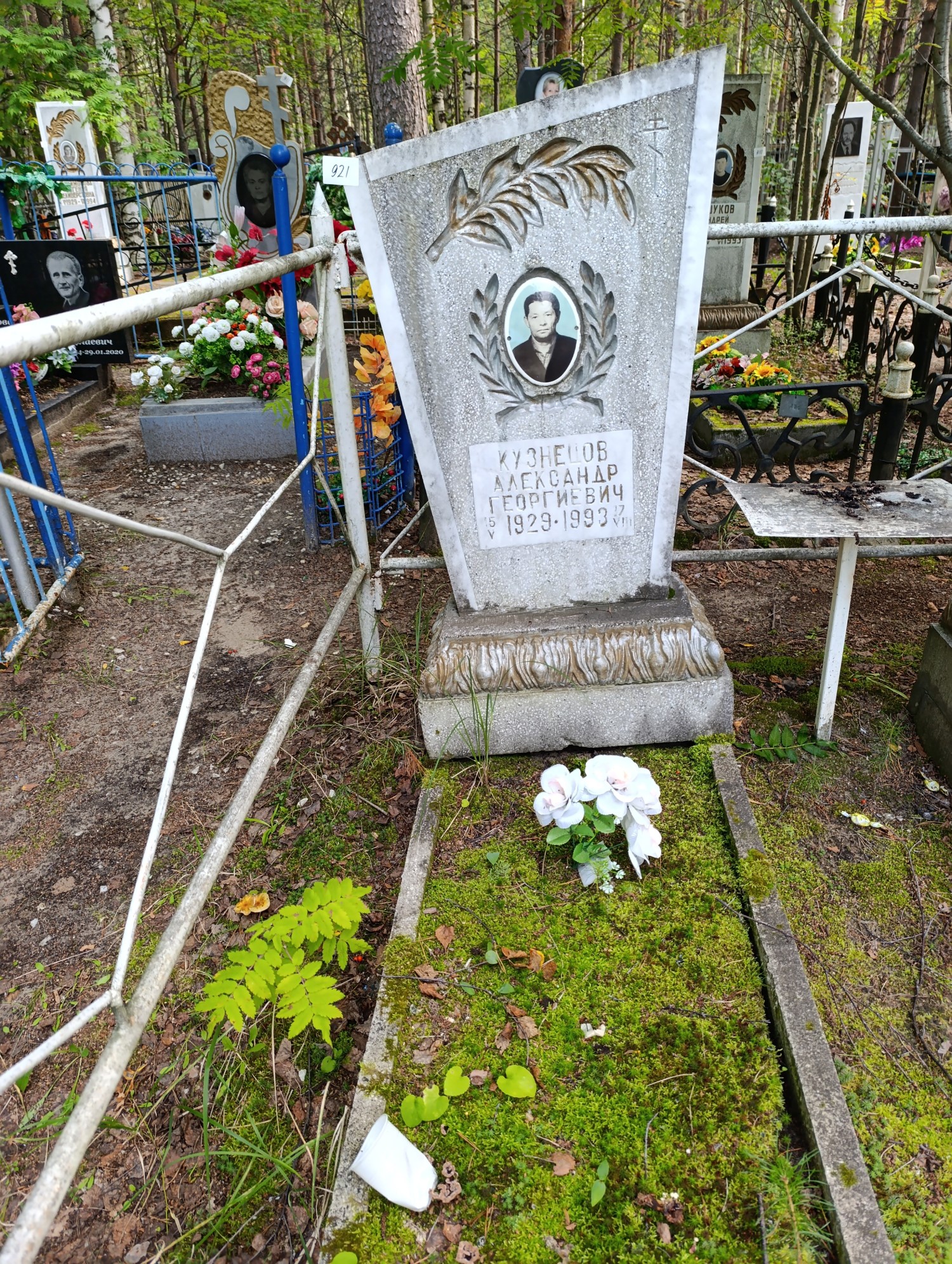 Кузнецов Александр Георгиевич