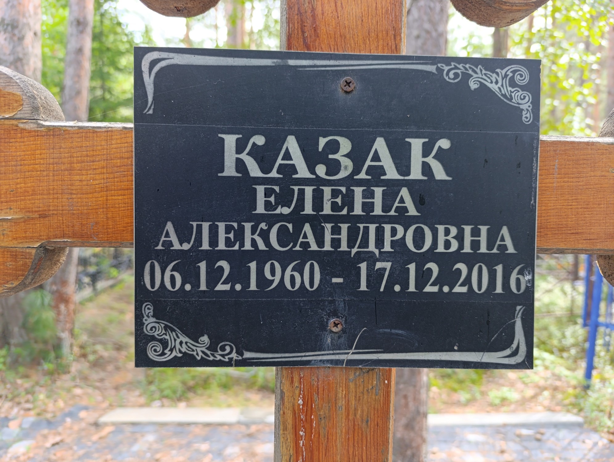 Казак Елена Александровна