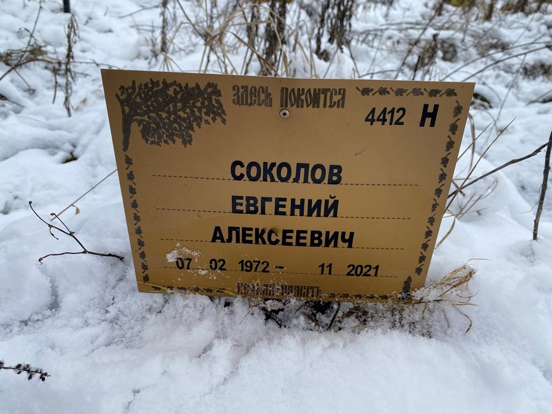 Соколов