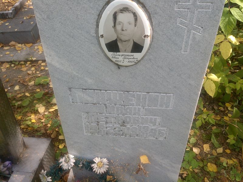 Пинженин