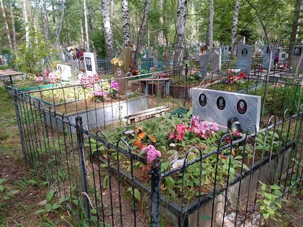 Чумичев Никон Николаевич