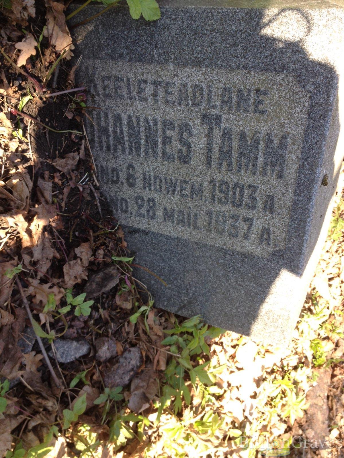 Tamm Johannes
