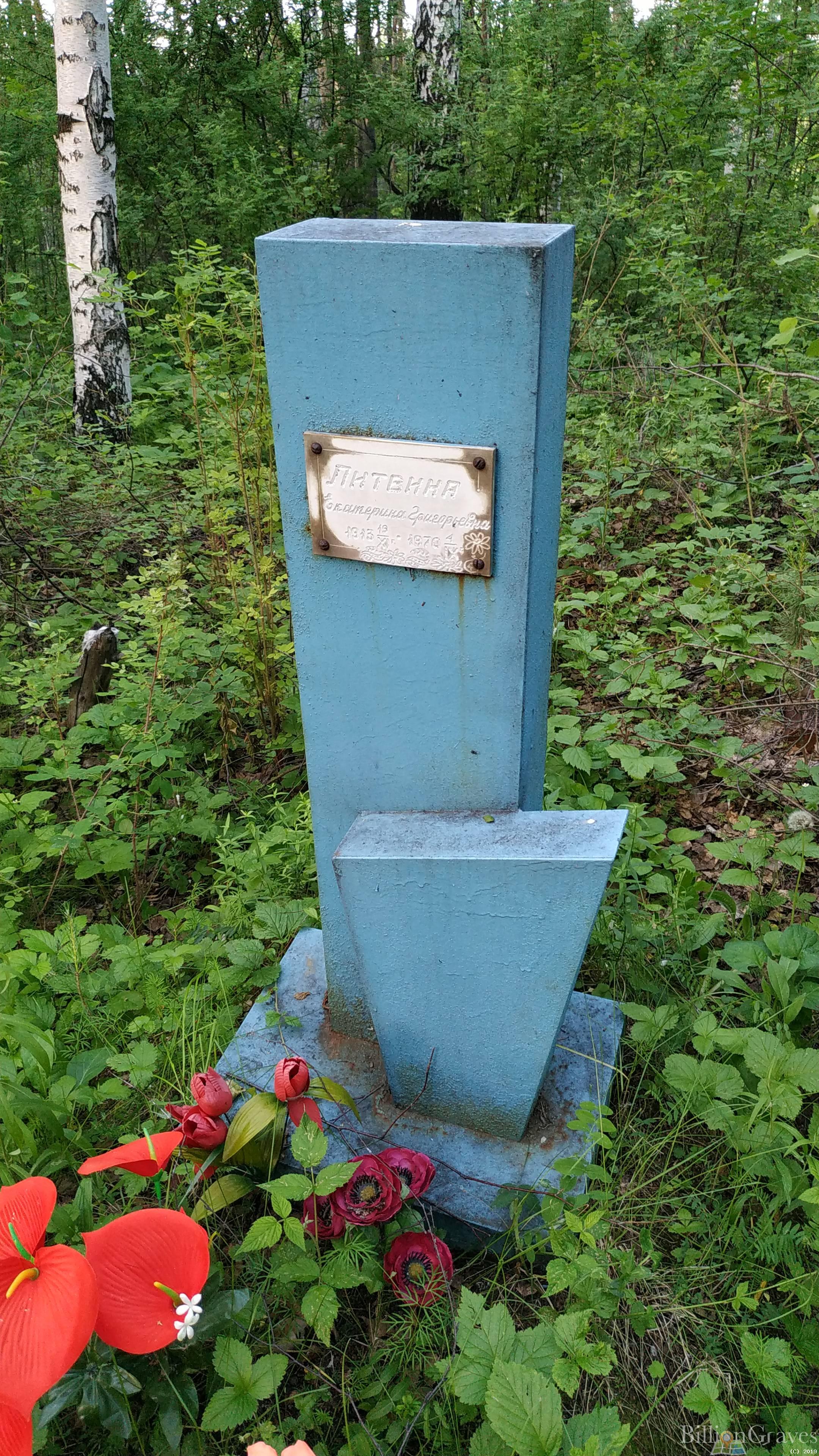 Литвина Екатерина Григорьевна