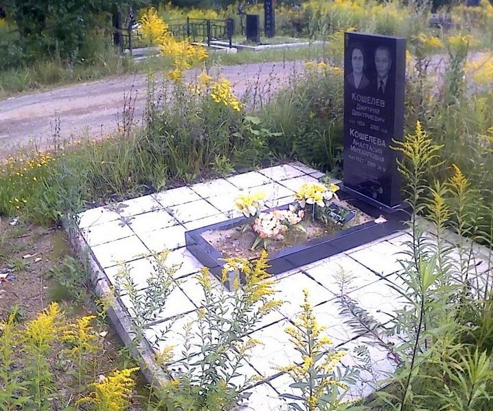 Кошелев Дмитрий Дмитриевич