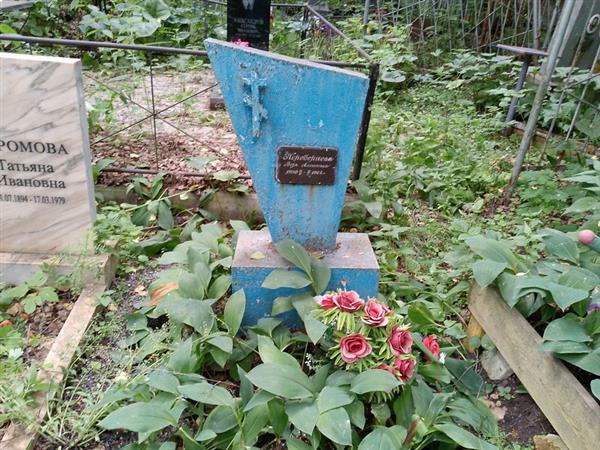 Передеряева Вера Алексеевна