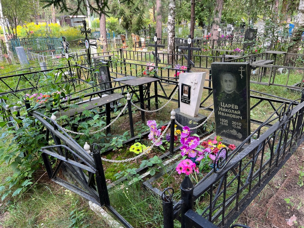 Царев Николай Иванович