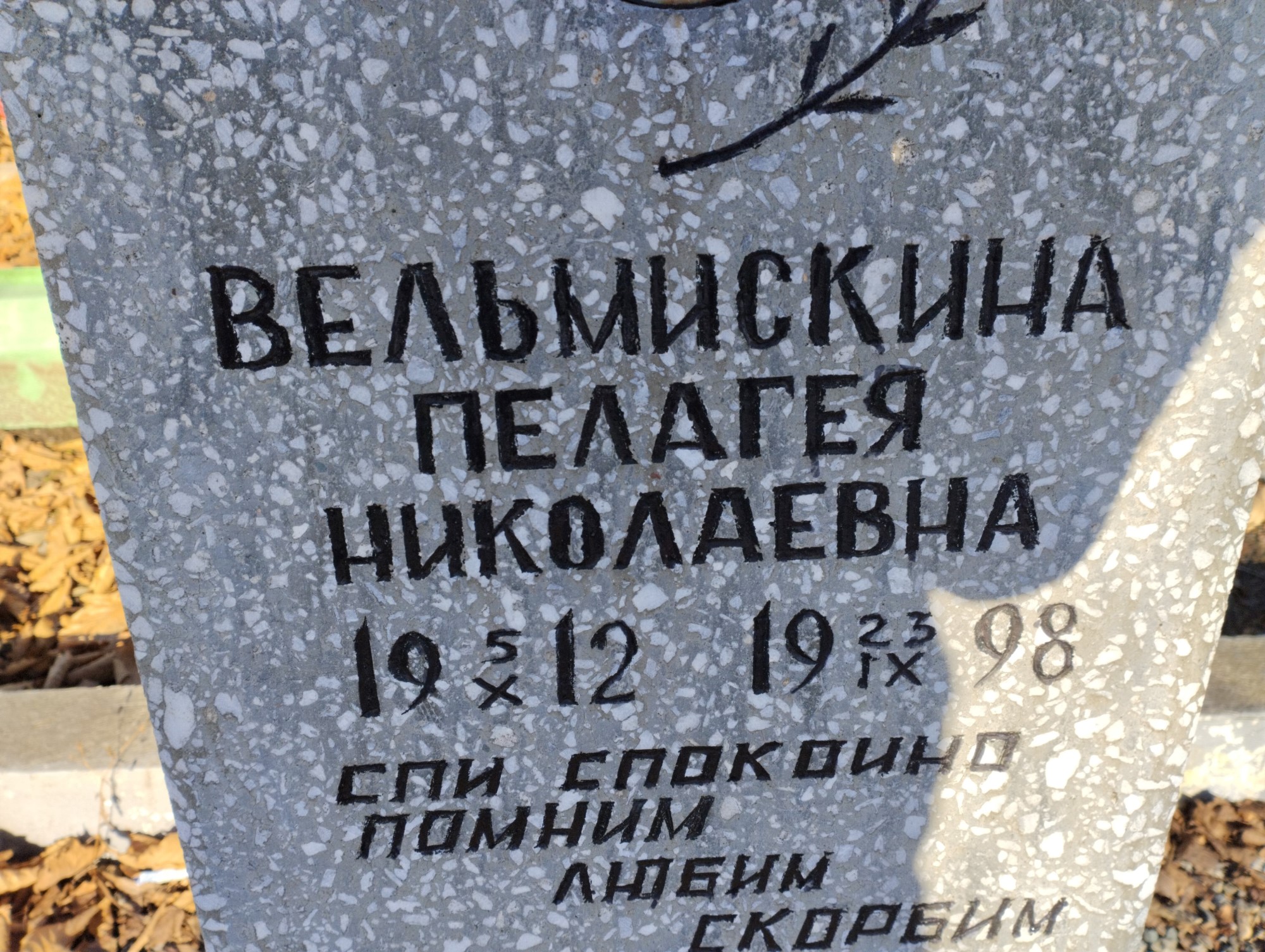 Вельмискина Пелагея Николаевна