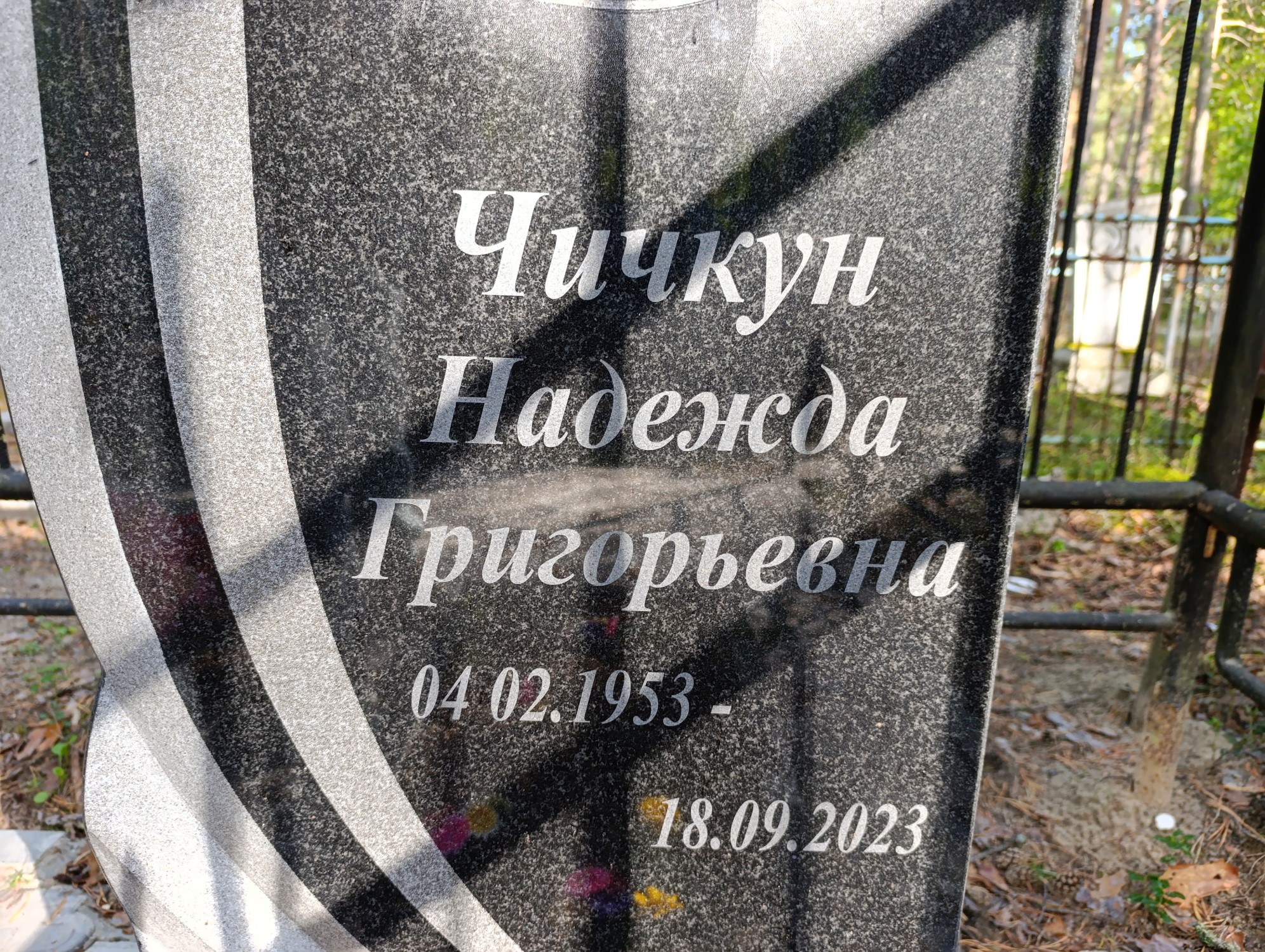 Чичкун Надежда Григорьевна