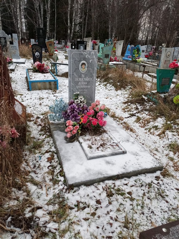 Денятина Елена Аркадьевна