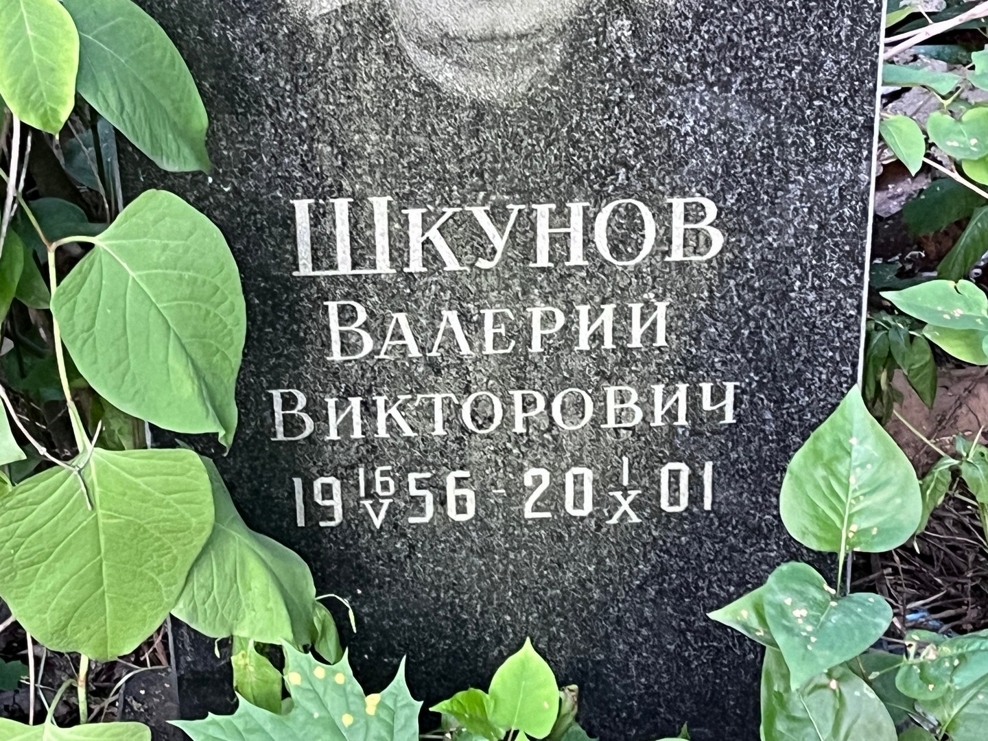 Шкунов