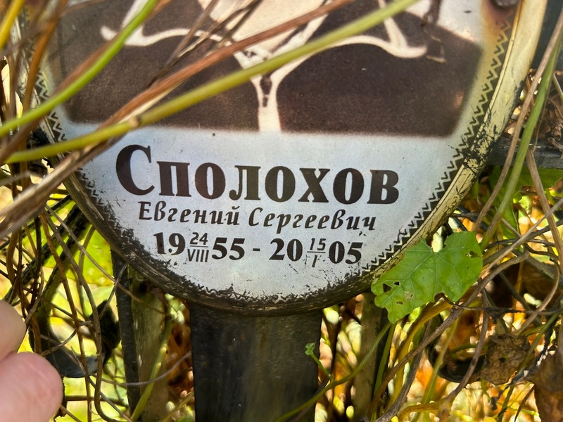 Сполохов