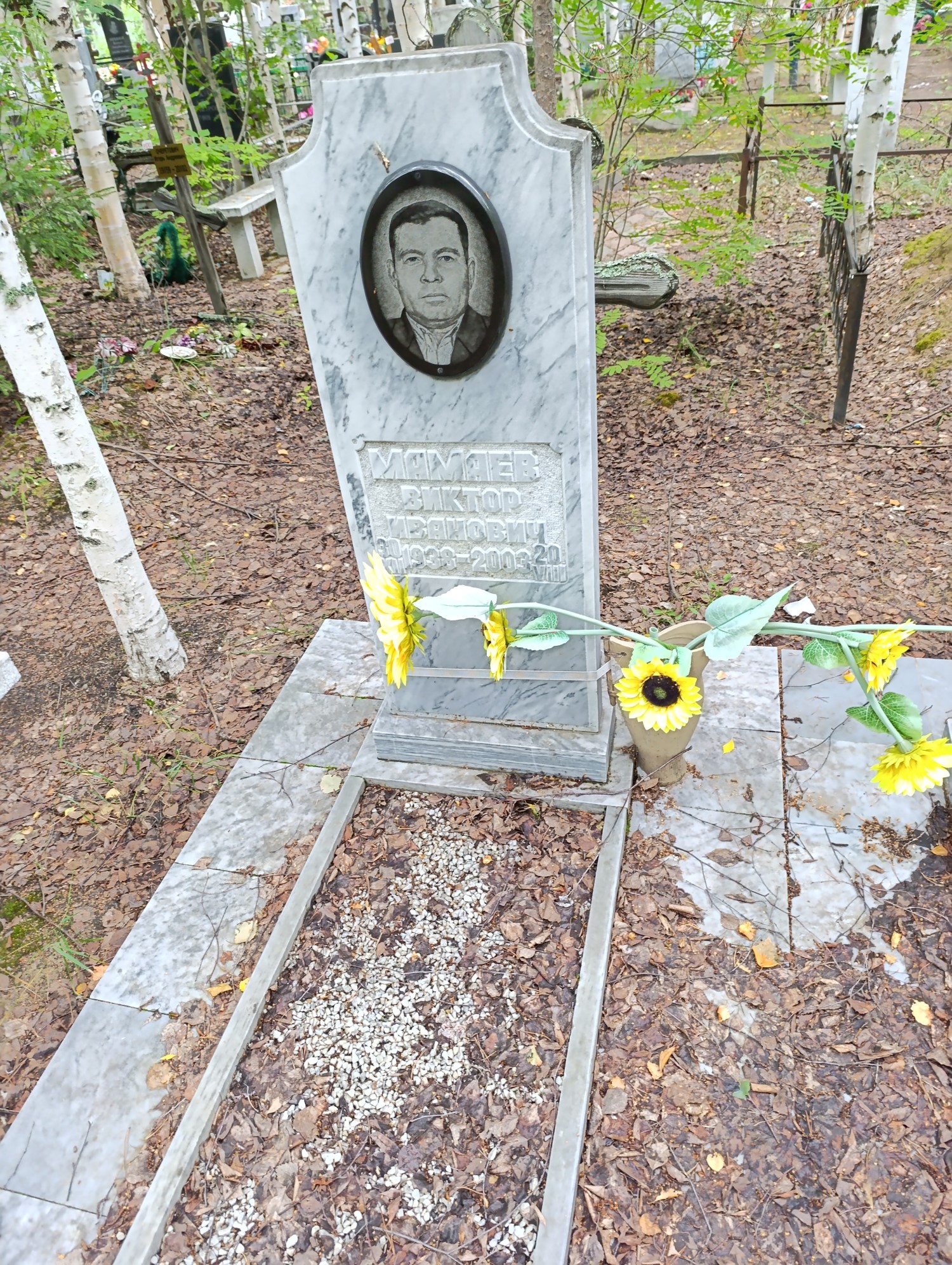 Мамаев Виктор Иванович