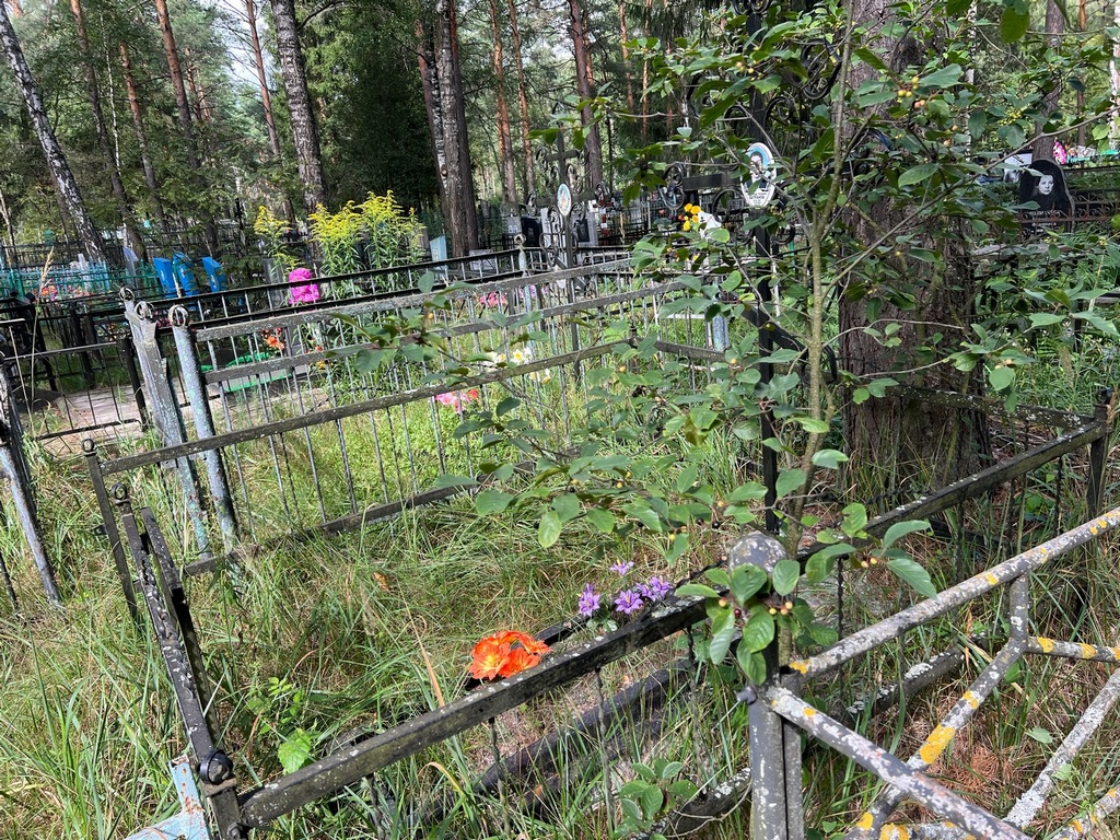 Батранов Александр Петрович