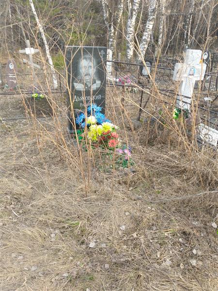Дьяковский Владимир Владимирович