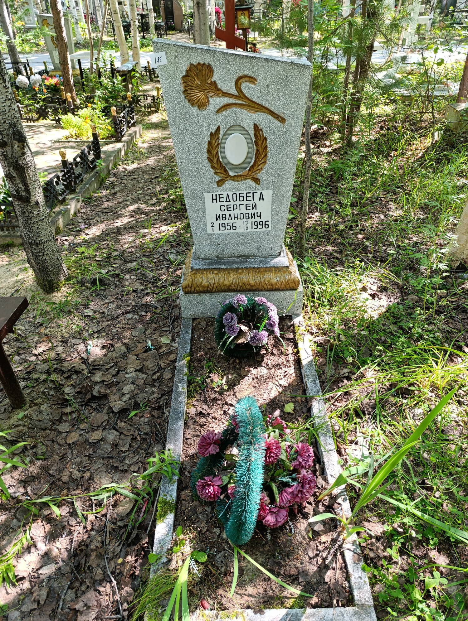 Недобега Сергей Иванович
