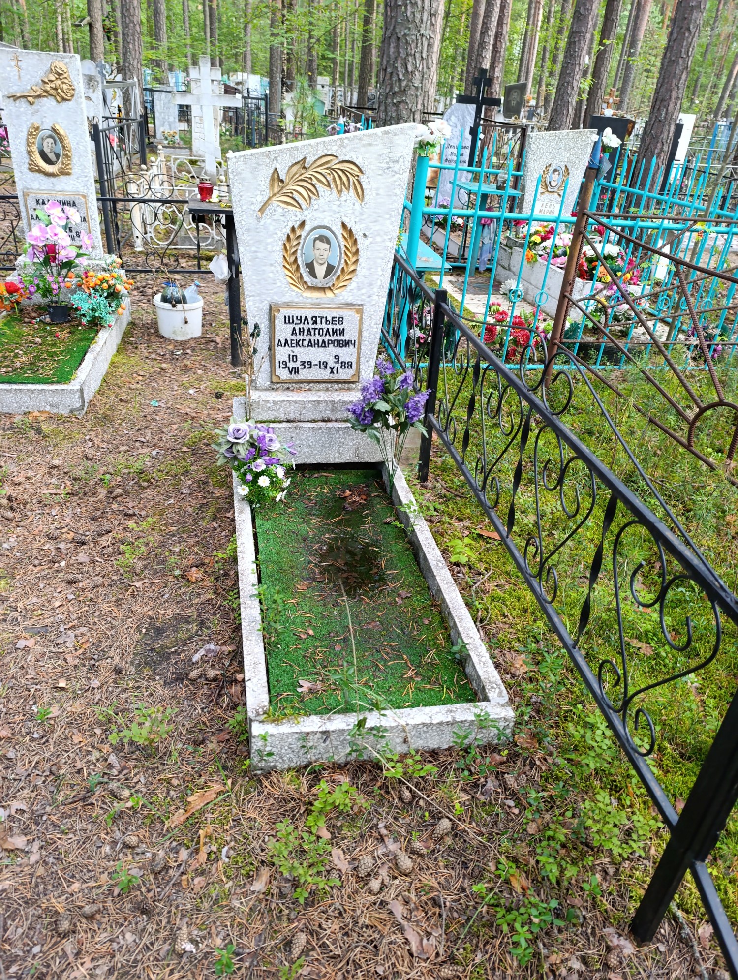 Шулятьев Анатолий Александрович