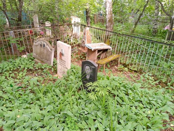 Засухина Екатерина Николаевна