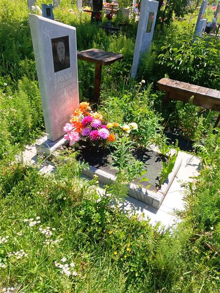 Фролов Аполинарий Алексеевич