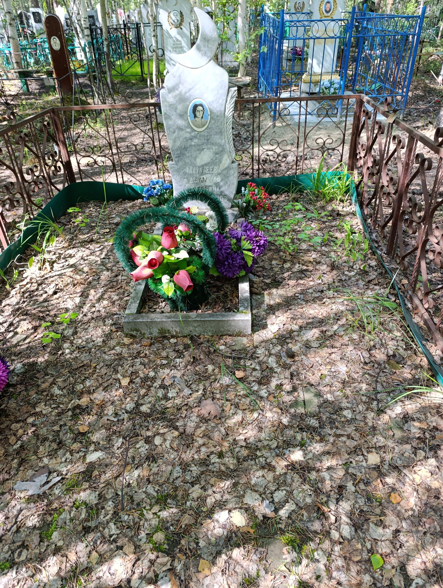 Мамлеева Джамиля Гареевна