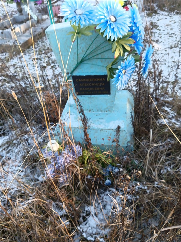 Самоделкина Александра Васильевна