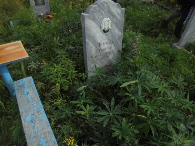 Юнин Виктор Александрович