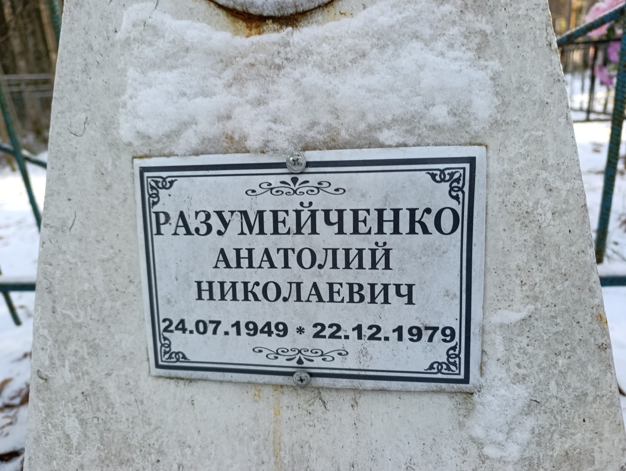 Разумейченко Анатолий Николаевич