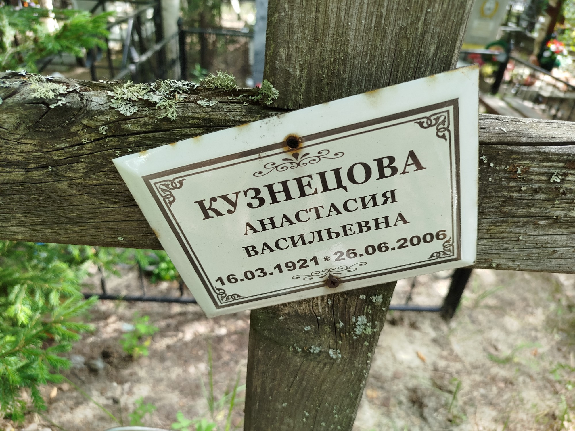 Кузнецова Анастасия Васильевна