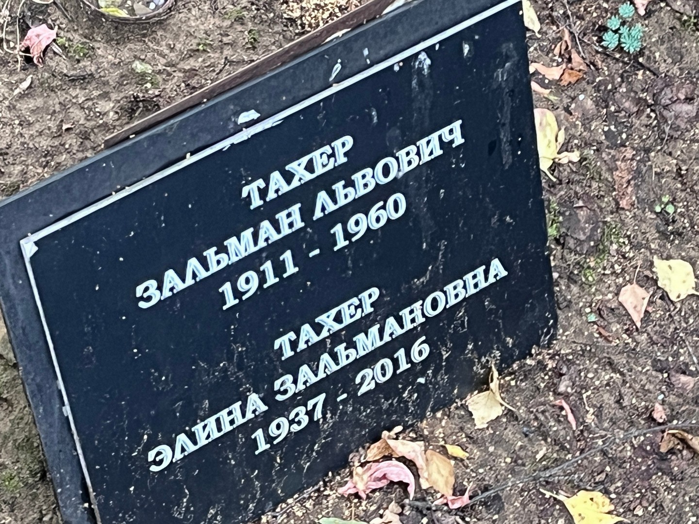Зальман Тахер Львович