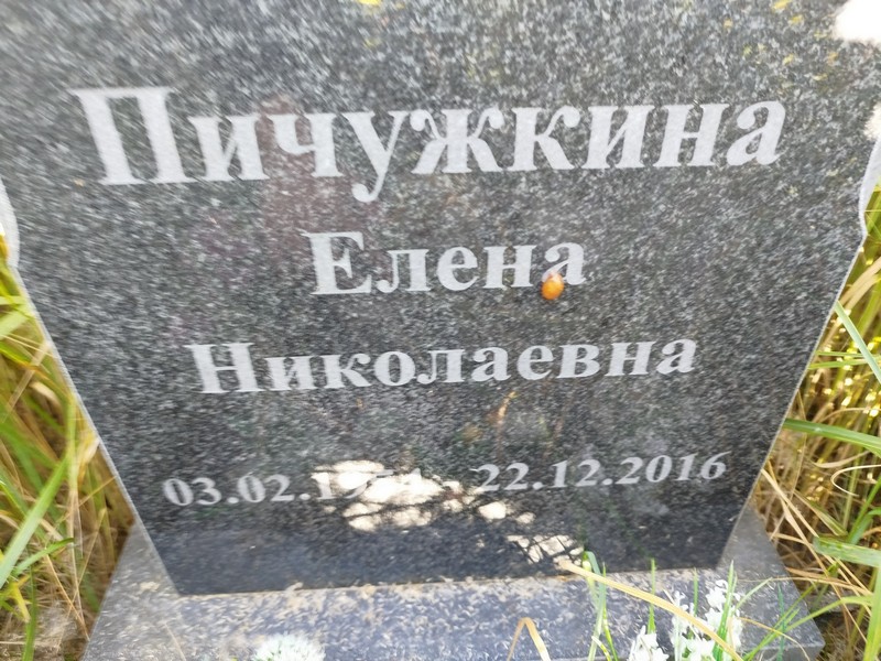 Пичужкина