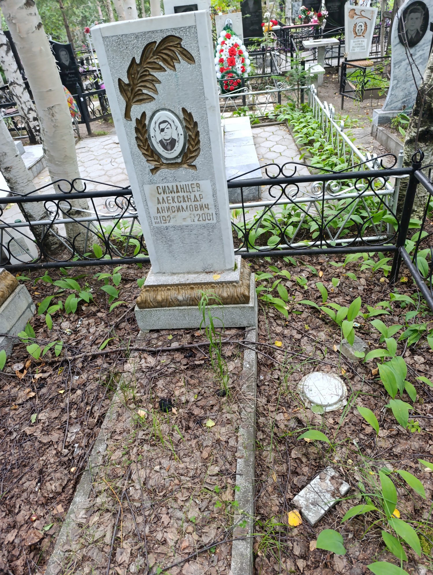Симанцев Александр Анисимович