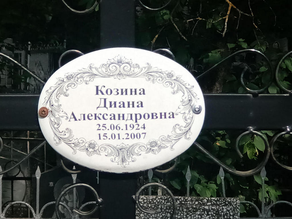 Козина Диана Александровна