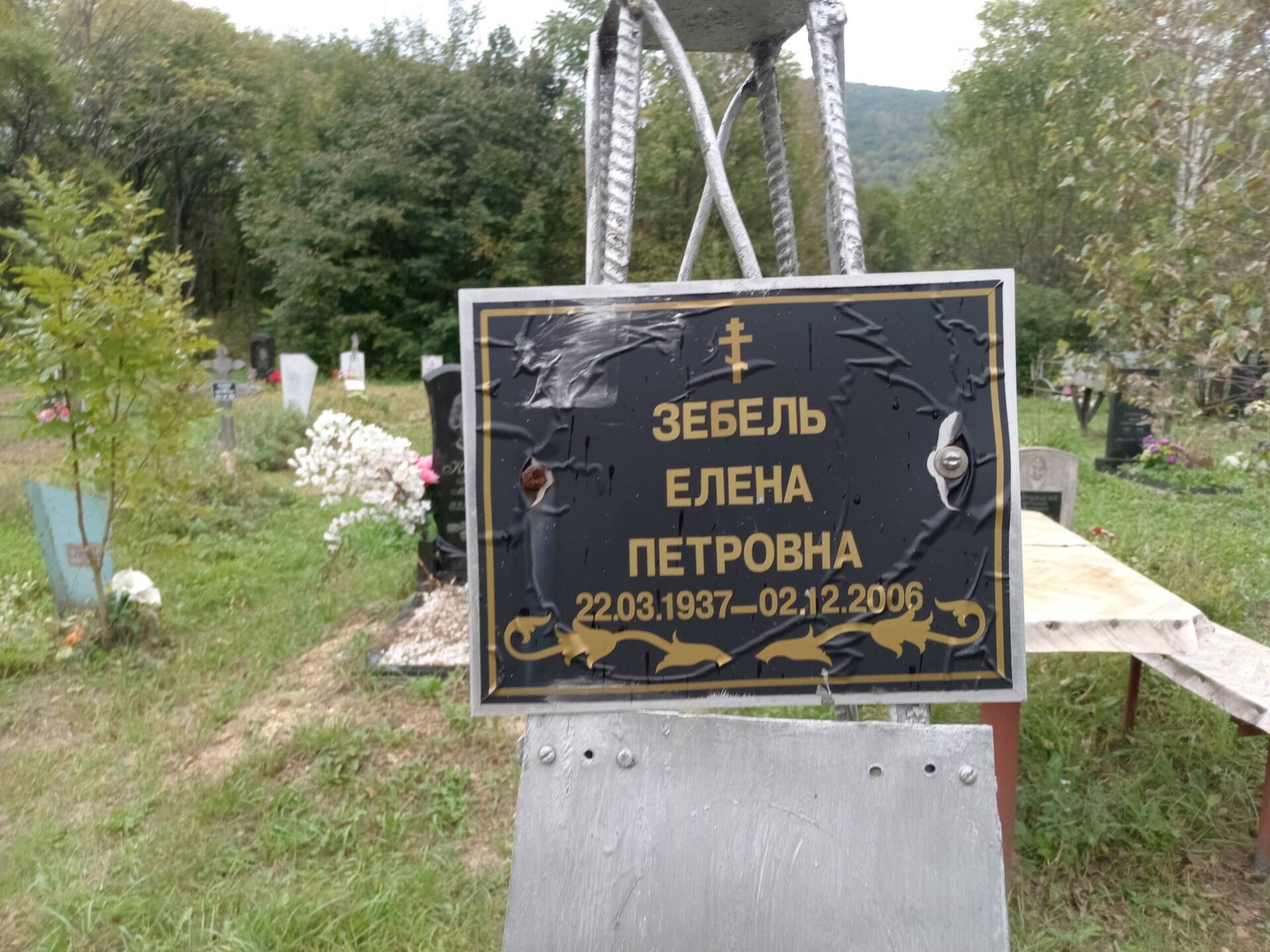 Зебель Елена Петровна