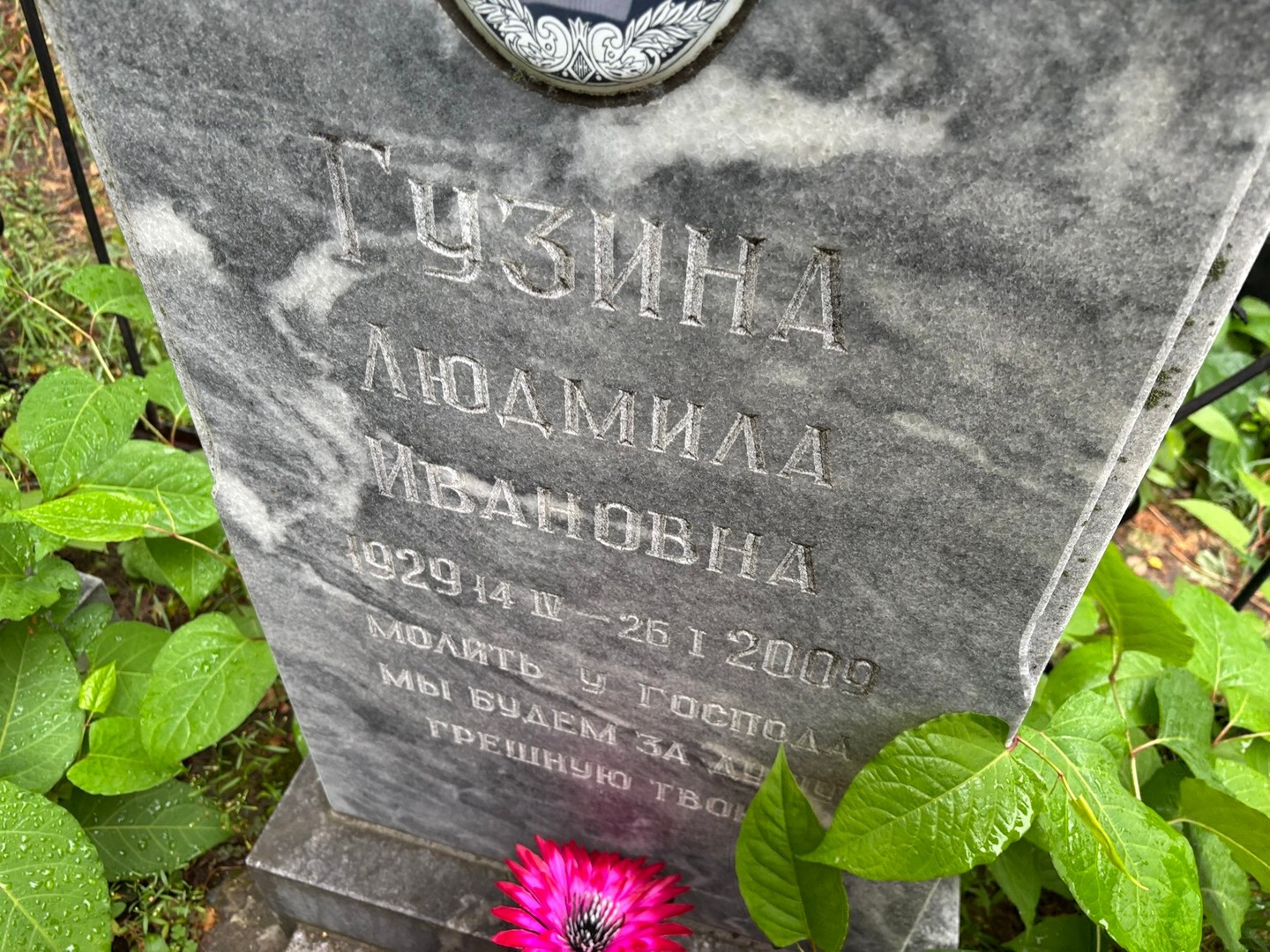 Гузина