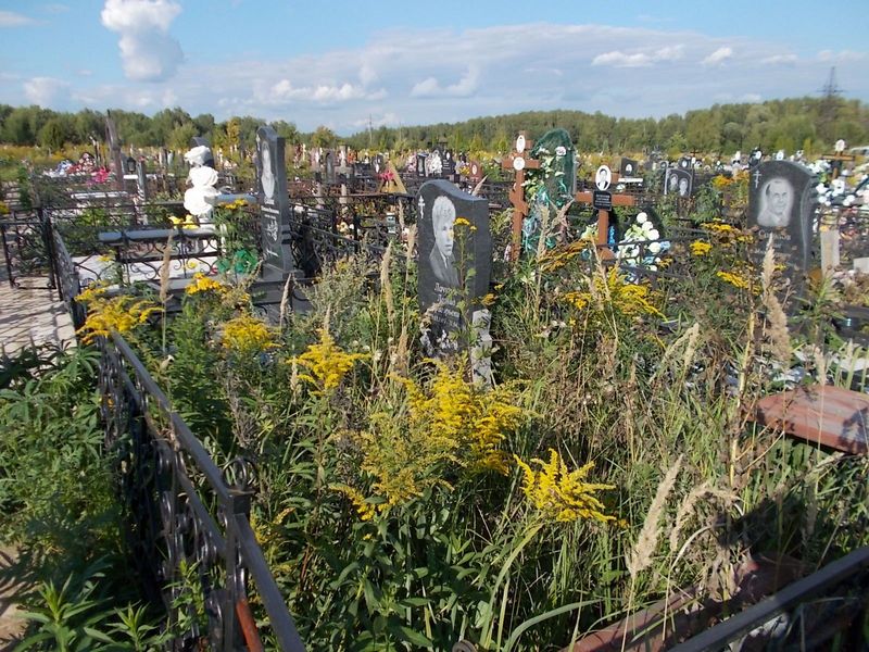 Лачугин Леонид Григорьевич