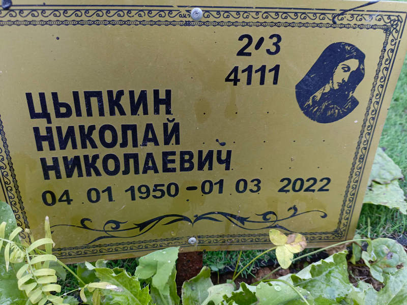 Цыпкин