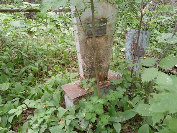 Виноградов Борис Александрович
