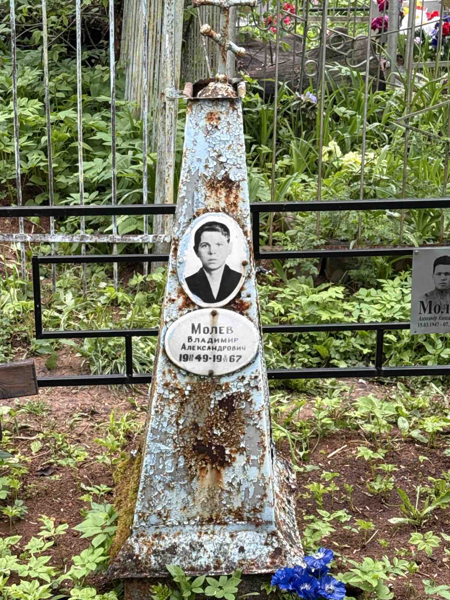 Молев Владимир Александрович