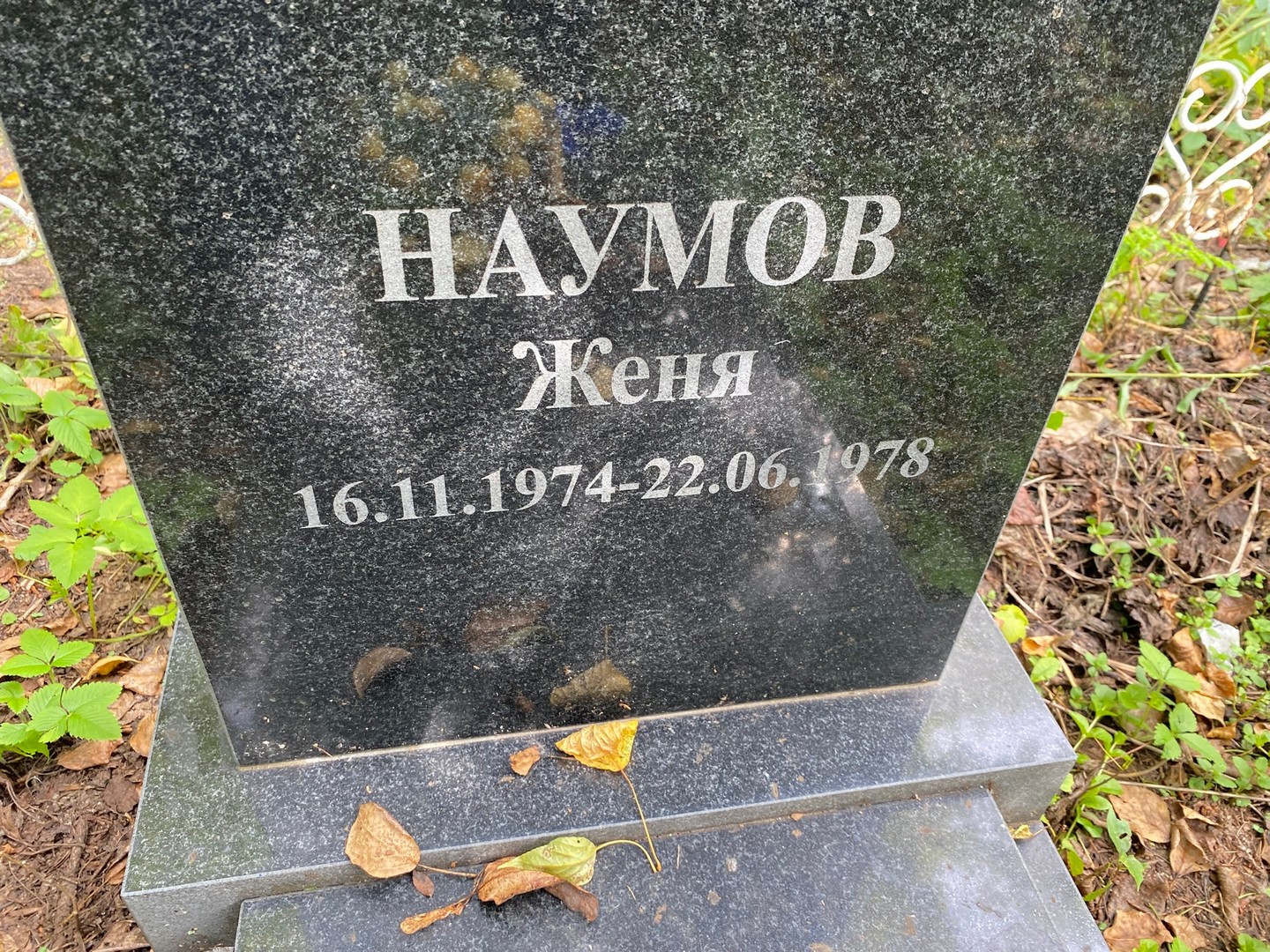 Наумов Наумов