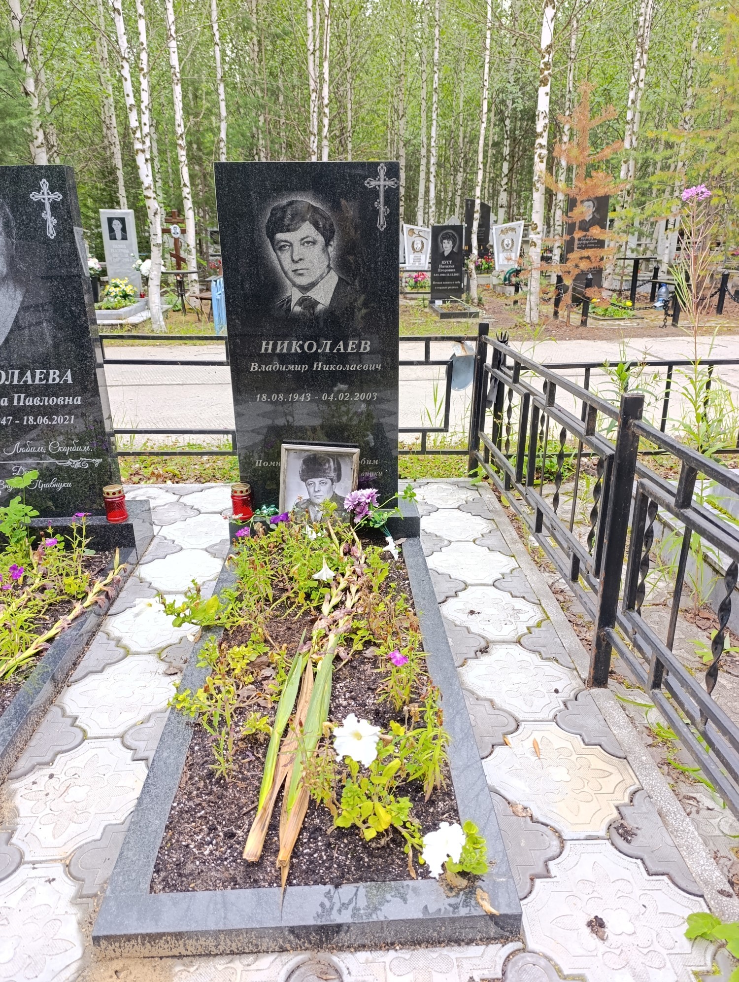 Николаев Владимир Николаевич