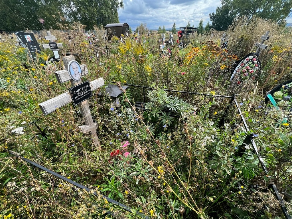 Дмитриев Вадим Наркисович