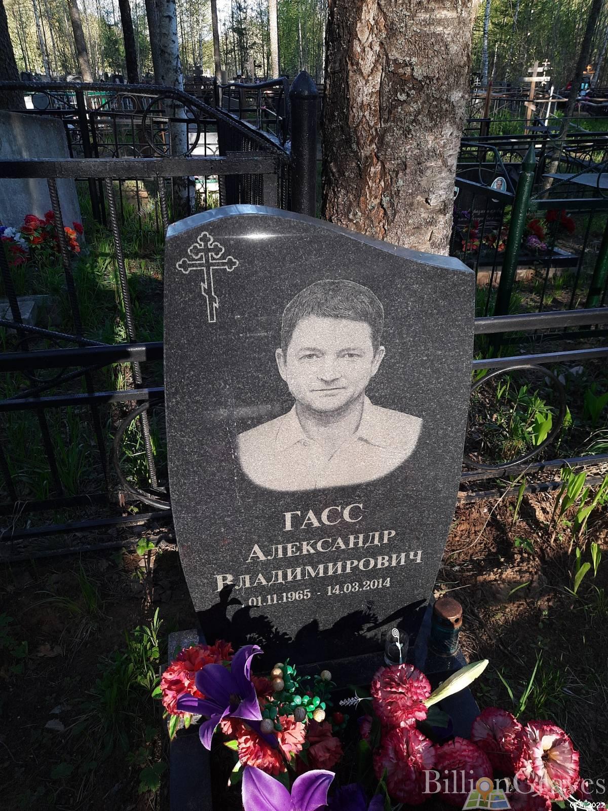 Гасс Александр Владимирович