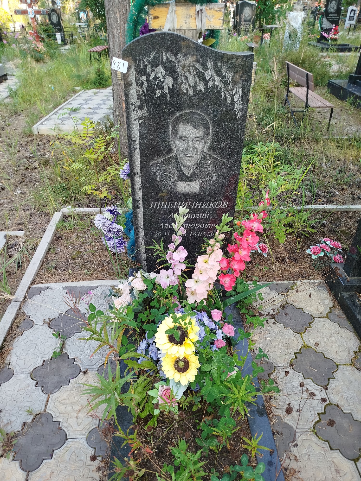 Пшеничников Анатолий Александрович