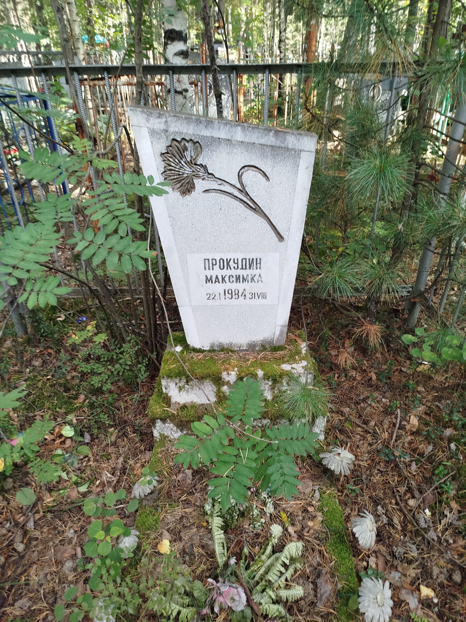 Прокудин Максимка